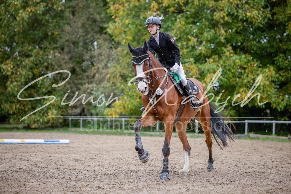20251012-_3LI4315 | Tierfotografie Pferde, Hunde, Katzen, Haustiere.
Turnierfotografie Reitturniere, Reiten, Springreiten, Dressur in Hanau, dem Main-Kinzig-Kreis und dem Rhein-Main- Gebiet um Frankfurt