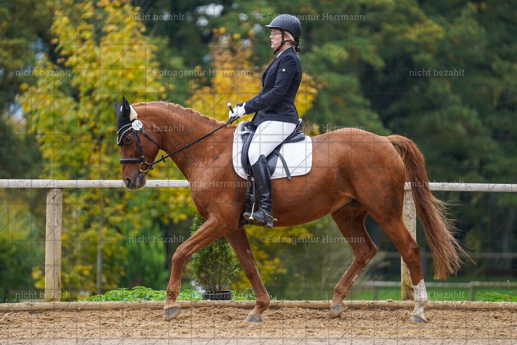 20221008-FAH01716 | Diessen am Ammersee, 2022, Dressur- und Springturnier, Reitsportbilder, Turnierfotografen Bayern, Pferdefotografen, Fotoagentur Herrmann, Turnierbilder