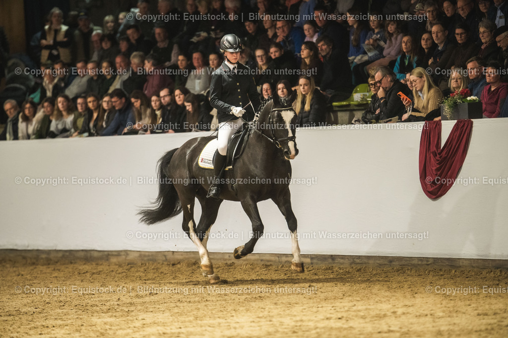 20240302_Hengstvorstellung_Marbach_TOMsPiC_0710 | equistock