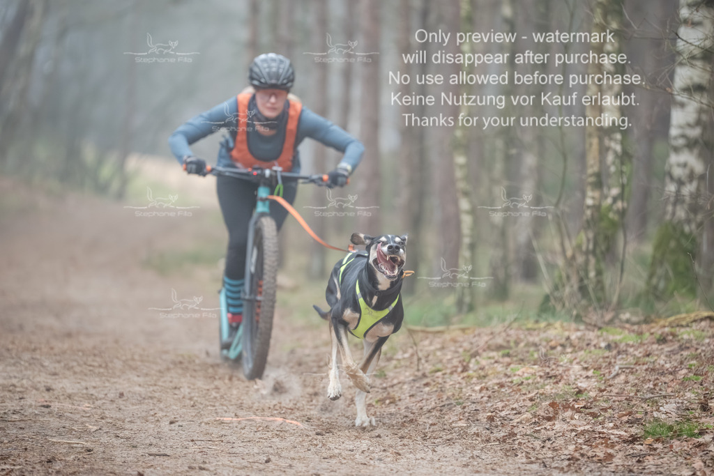 Scooter1-97 | stephaniefillaphotographie - Realisiert mit Pictrs.com