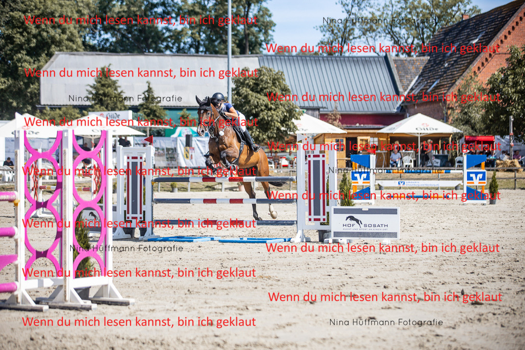 BK1A6963 | Turnierbilder Turnierfotos Nina Hüffmann Turnierfotografie Pferdefotografie Tierzeichnung Haustierzeichnung Pferdezeichnung Hundezeichnung Videograf  - Realisiert mit Pictrs.com