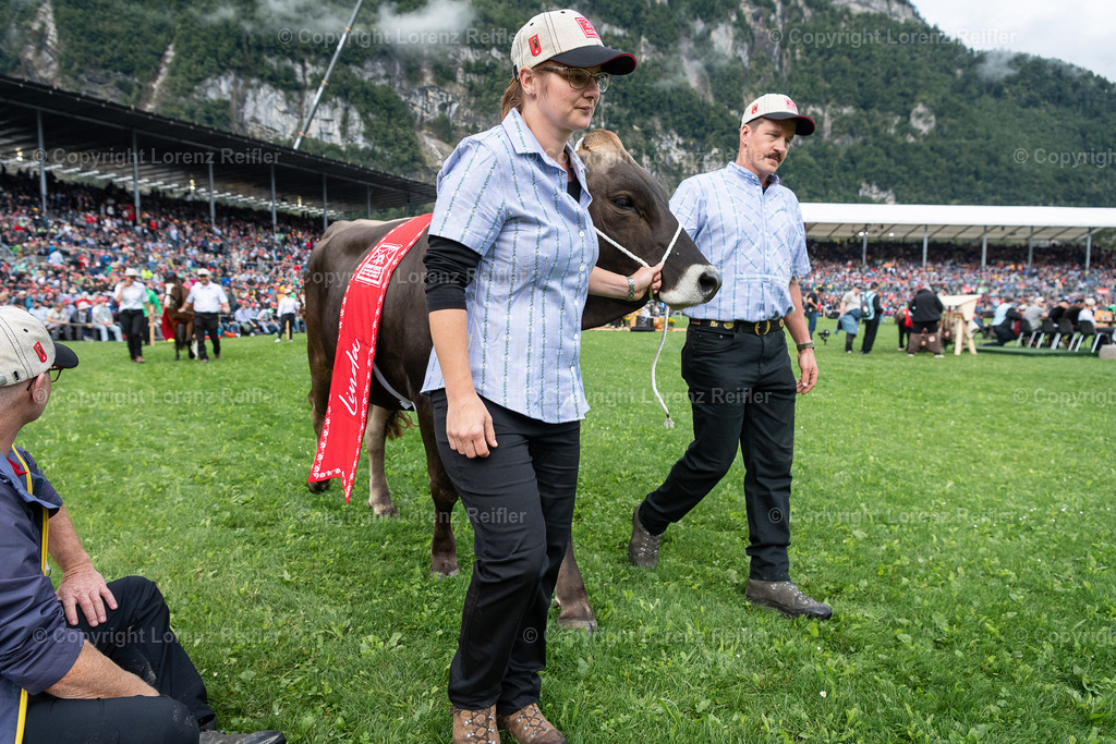 Schwingen -  ESAF 2025 Samstag | Mollis, 30.8.25, Schwingen - ESAF Samstag.