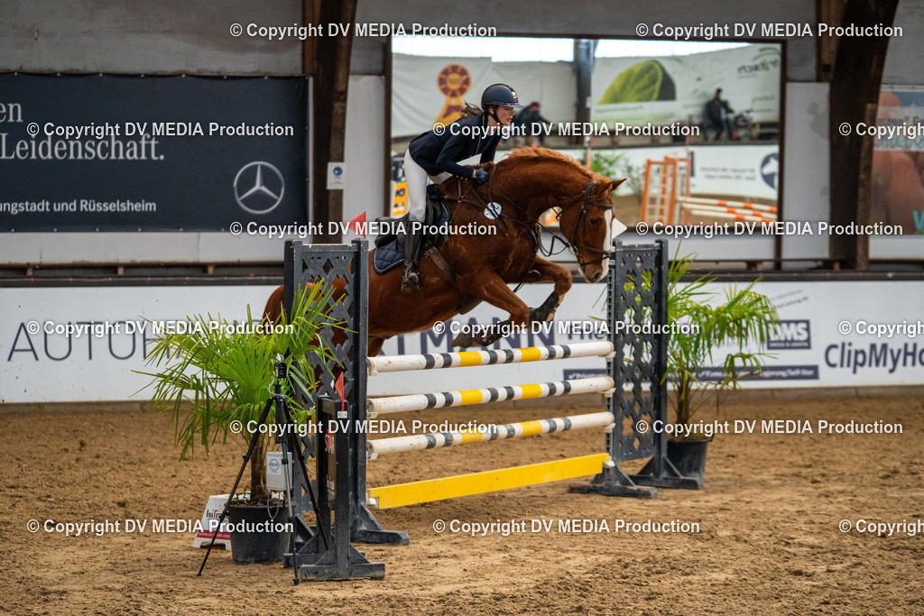 Kranichstein Tag 2-239 | dv-media-shop - Realisiert mit Pictrs.com