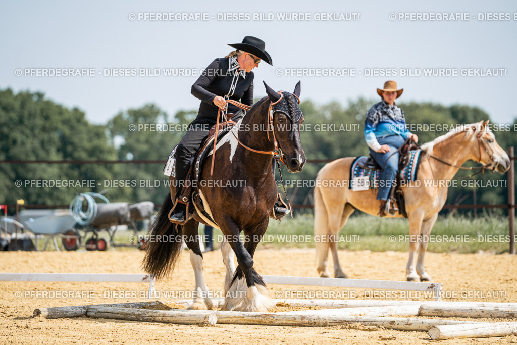 DSC00219 | Pferdegrafie