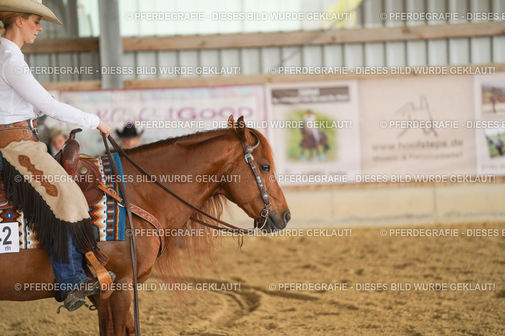 DSC02417 | Pferdegrafie