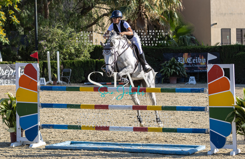 IMG_9456 | s-jay-photography - Realisiert mit Pictrs.com