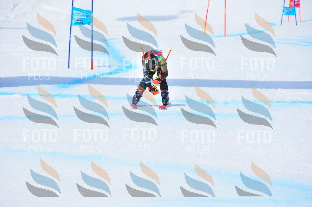 DSC_3270 | holidayphoto