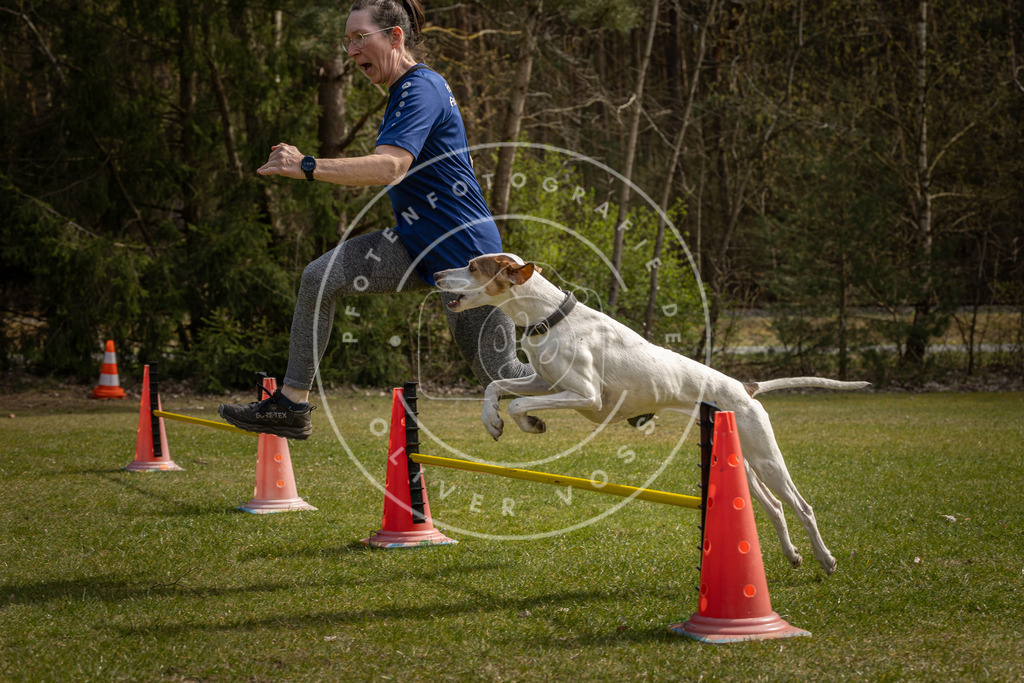 Pfotenfotografie_DV3A7005 | Hundefotografie, Tierfotograf, Pfotenfotografie, Fotoshooting Hund, Hunde Portrait, Hundesport, Hundeportraits, Heideshooting, Hunde, Sportfotograf, Hundefotograf, Turnierhundsport, THS,  - Realisiert mit Pictrs.com