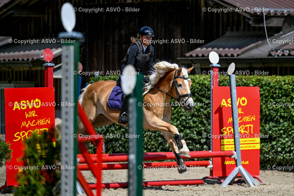 ASVÖ_ Reiten Bezirksmeisterschaft_ 24.08.2025-106 | 24.08.2025, AUT, ASVÖ, Reiten Bezirksmeisterschaft 2025Dressur und Springreiten©fodo.media / Harald Dostal - Realisiert mit Pictrs.com