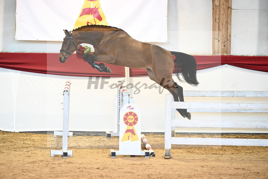 Kat-Nr. 34 Herald x Nimmerdor_Stahl_43231337 | hf-fotografie - Realisiert mit Pictrs.com