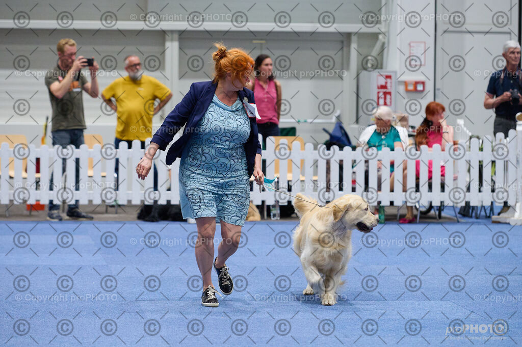 202406_ÖKV-IHA-Tulln24_DSC_3158 | proPHOTO - Realisiert mit Pictrs.com