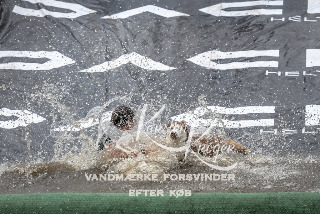 1339_ZZ92833 | kk-dogfotos