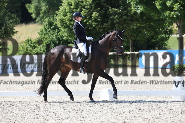 Weilheim_2025_Prfg.Nr.24_Reitpferdeprüfung_Ines Fleischmann_Tjara 17 (7) | Alle Fotos der Reiterjournal Fotografin Doris Matthaes im Reiterjournal Online-Fotoshop. - Realisiert mit Pictrs.com
