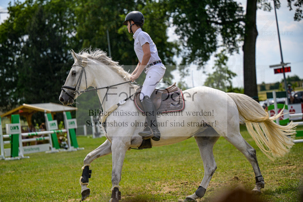 Reitturnier Voxtrup | Entdecke hochwertige Reitturnierfotos von Foto Oger. Professionell, emotional und authentisch – jetzt Lieblingsmomente im Shop bestellen.Deutschlandweite Turnierfotografie. - Realized with Pictrs.com