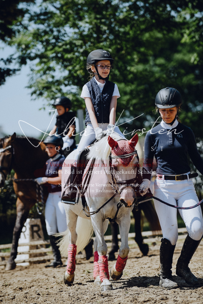 DSC_2554 | Pferde- und Turnierfotografie in Westsachsen. Pferdeportraits, Auftragszeichnungen und intuitive Kunst.