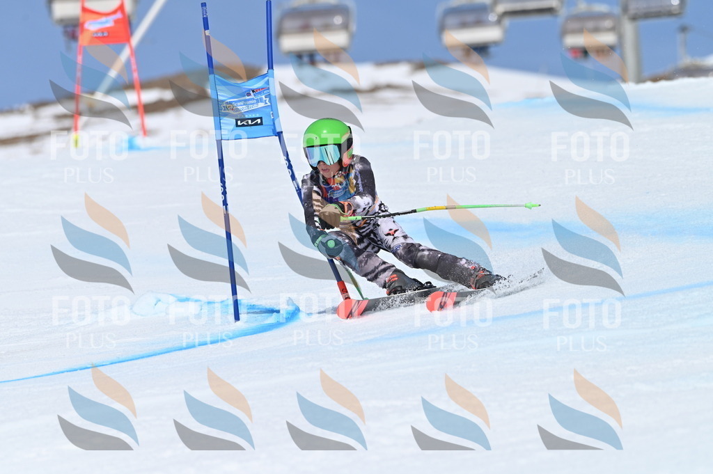 BGV_0884 | holidayphoto