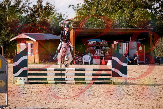 2026_10_03_Siefer-Hof_155137_Z81_70491115 | Professionelle Reitsport-, Turnier- und Eventfotografie von Robert Broda. Galerien mit ausgewählten und bearbeiteten Bildern direkt online ansehen und bestellen.