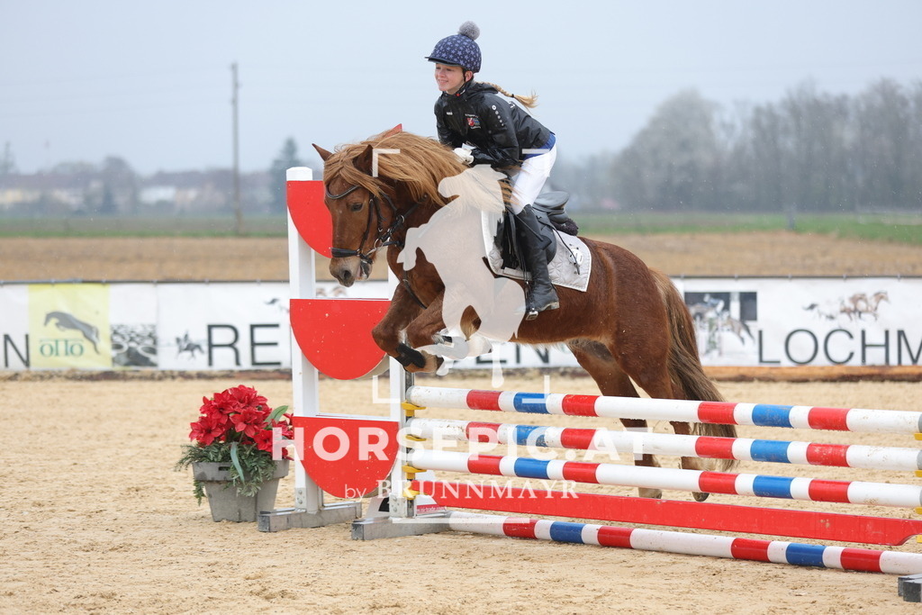 0P6A7263 | Willkommen bei Brunnmayr - Design & Fotografie – Ihrem Spezialisten für Reitturniere und Pferdeveranstaltungen in Oberösterreich, Salzburg und Bayern! Seit über 17 Jahren sind wir leidenschaftlich dabei.