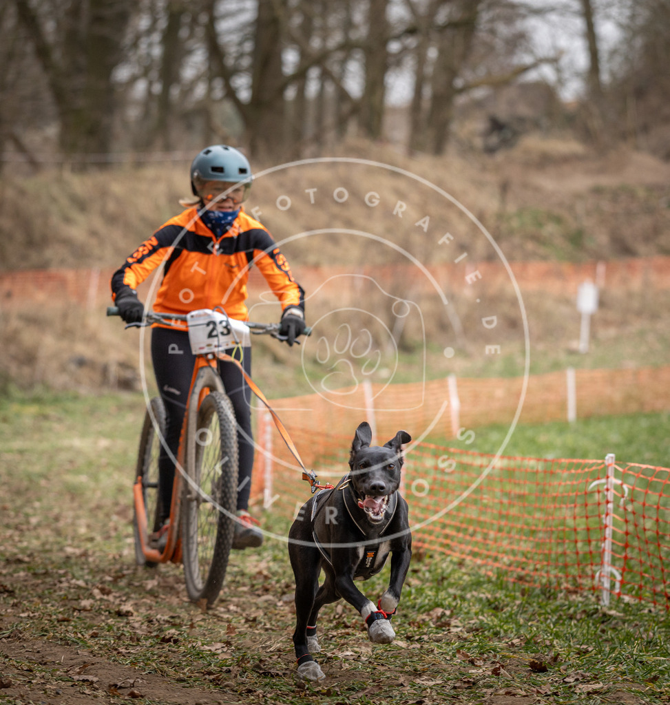 Pfotenfotografie_DV3A7276 | Hundefotografie, Tierfotograf, Pfotenfotografie, Fotoshooting Hund, Hunde Portrait, Hundesport, Hundeportraits, Heideshooting, Hunde, Sportfotograf, Hundefotograf, Turnierhundsport, THS,  - Realisiert mit Pictrs.com