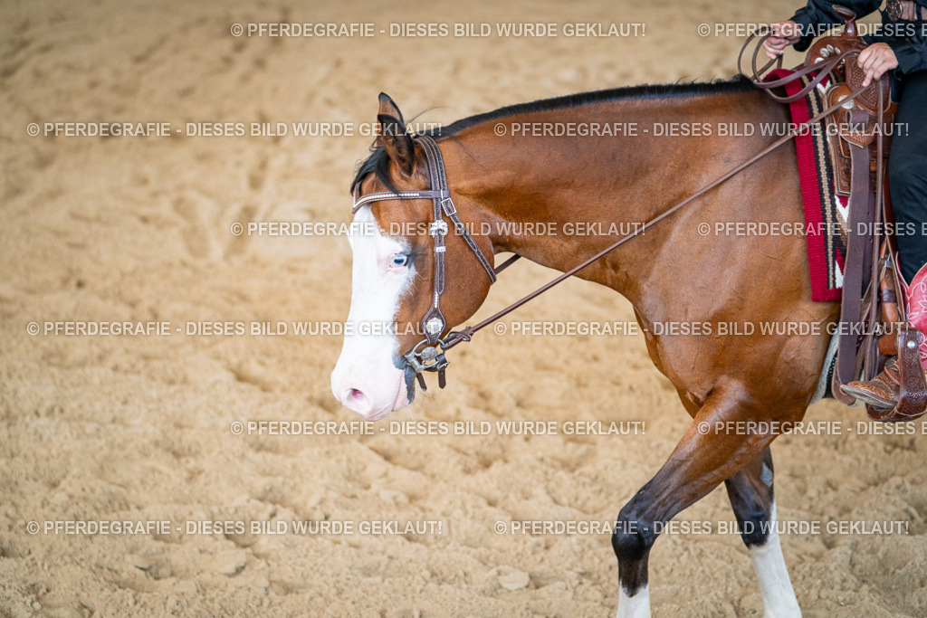 DSC03655 | Pferdegrafie