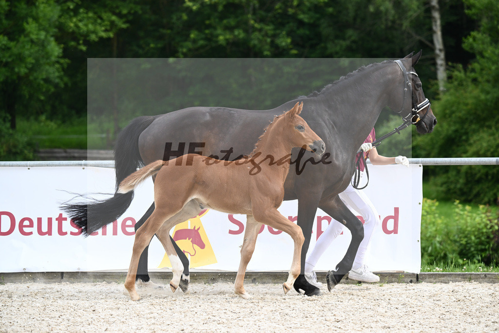 Consantos x Concetto_SF_Lang-Wengert_20241122 | hf-fotografie - Realisiert mit Pictrs.com