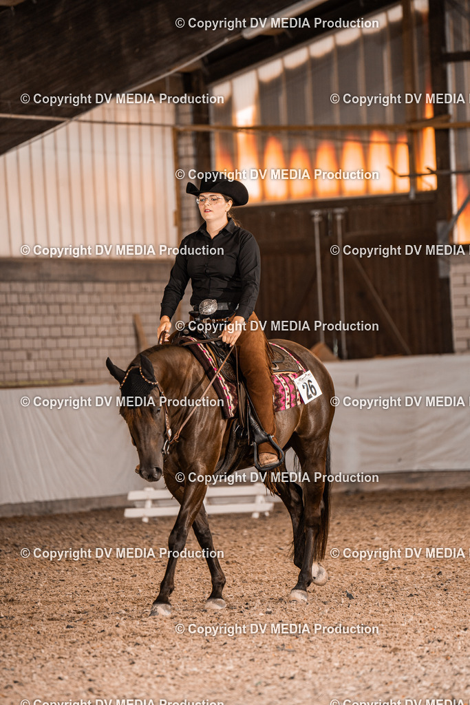 ZH100310 | dv-media-shop - Realisiert mit Pictrs.com