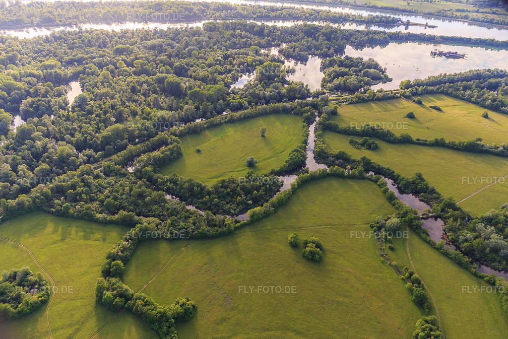 Luftbild: Naturschutzgebiet Taubergiessen zwischen Rheinauen und Rhein im Ortsteil Rheinau in Ortenaukreis im Bundesland Baden-Württemberg in Deutschland. Foto: IMG_147324.jpg vom 29.05.2025 durch Werner Riehm/FLY-FOTO.de