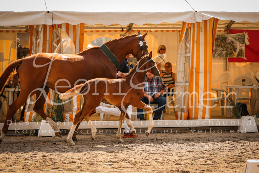 09.DoWBD00135 | Leoni Ertmer Photography - Realisiert mit Pictrs.com