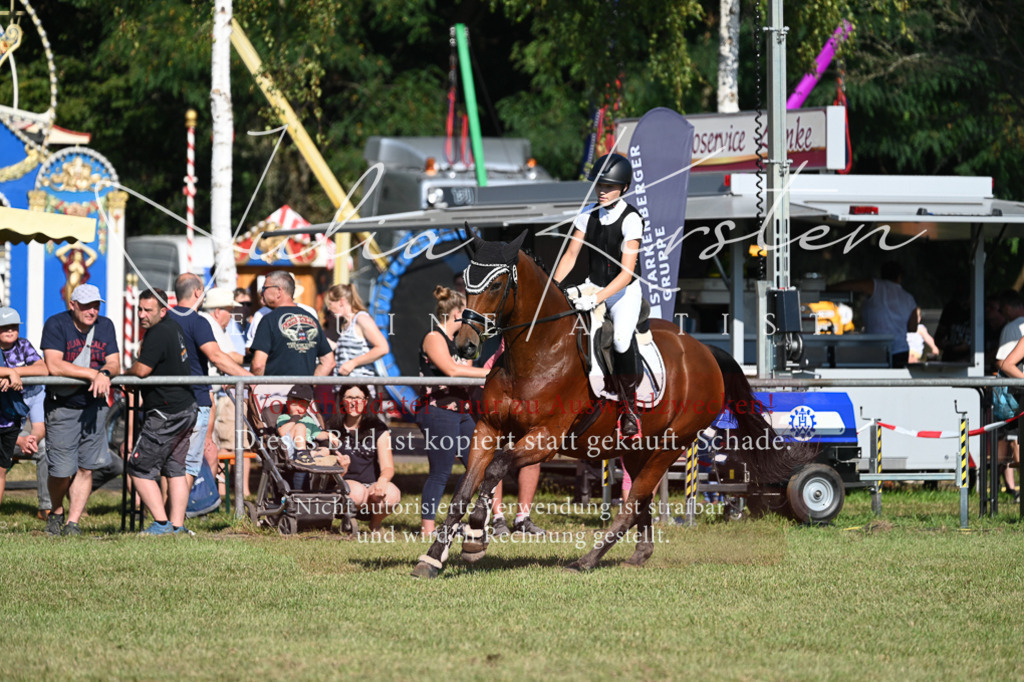DSC_5292 | Pferde- und Turnierfotografie in Westsachsen. Pferdeportraits, Auftragszeichnungen und intuitive Kunst.