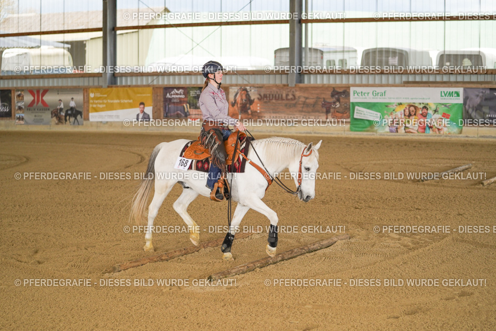 DSC05443 | Pferdegrafie