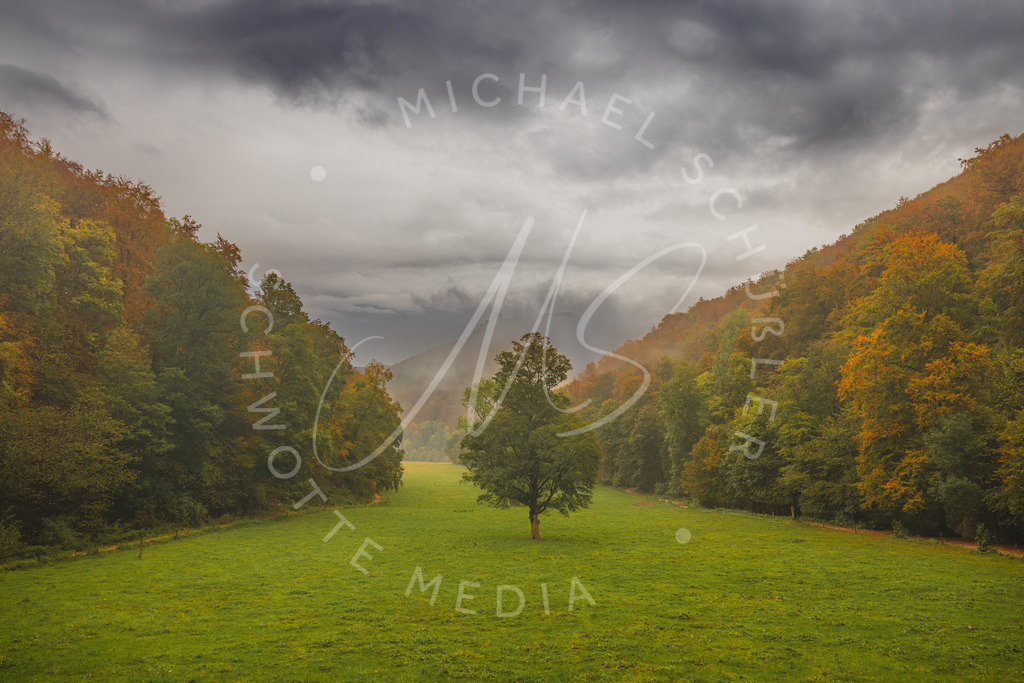 2023-10-18 Wasserfall Bad Urach 048 | Schwotte Media - Realisiert mit Pictrs.com