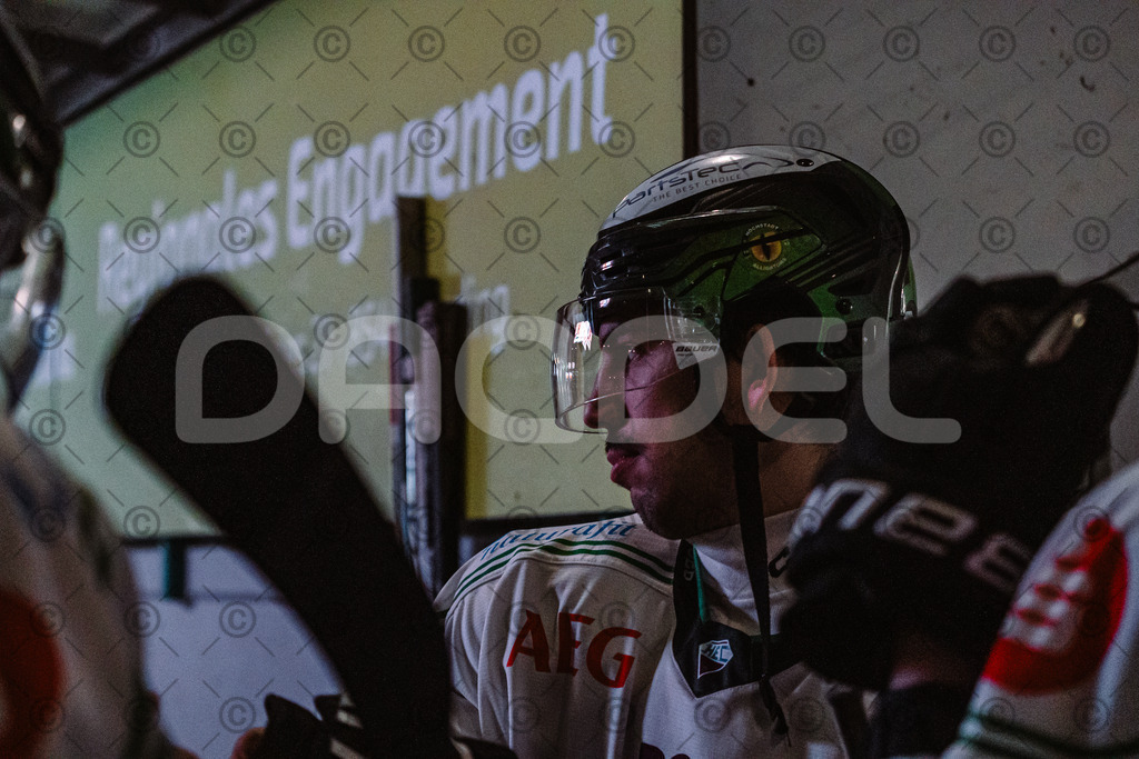Erding_vs_Alligators_02_01_2026-19 | Höchstadt Alligators Fotogalerie: Eishockey-Action aus Franken. Professionelle Spielfotos, Portraits & Stadionbilder zum Download. Jetzt entdecken! - Realisiert mit Pictrs.com