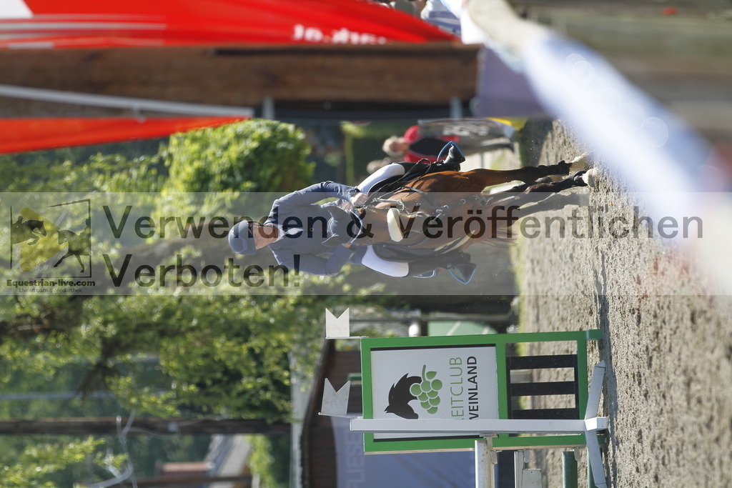 _MG_8349 | equestrian-live-com