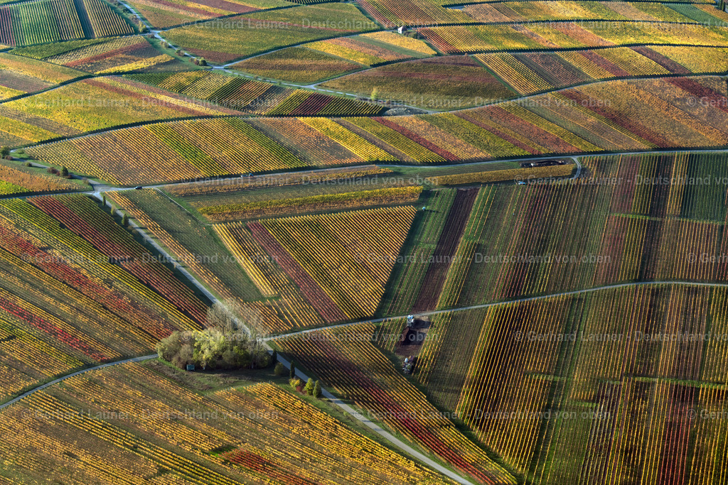3905390 | Weinbergslandschaft an der Mainschleife bei Escherndorf und Nordheim
