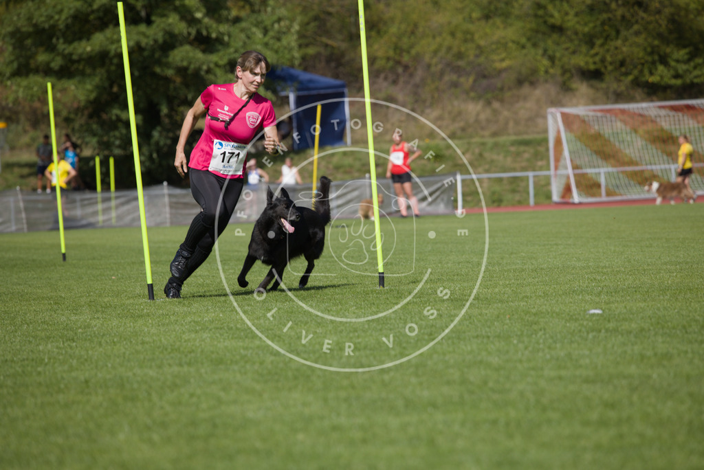 0L8A3298 | Hundefotografie, Tierfotograf, Pfotenfotografie, Fotoshooting Hund, Hunde Portrait, Hundesport, Hundeportraits, Heideshooting, Hunde, Sportfotograf, Hundefotograf, Turnierhundsport, THS,  - Realisiert mit Pictrs.com