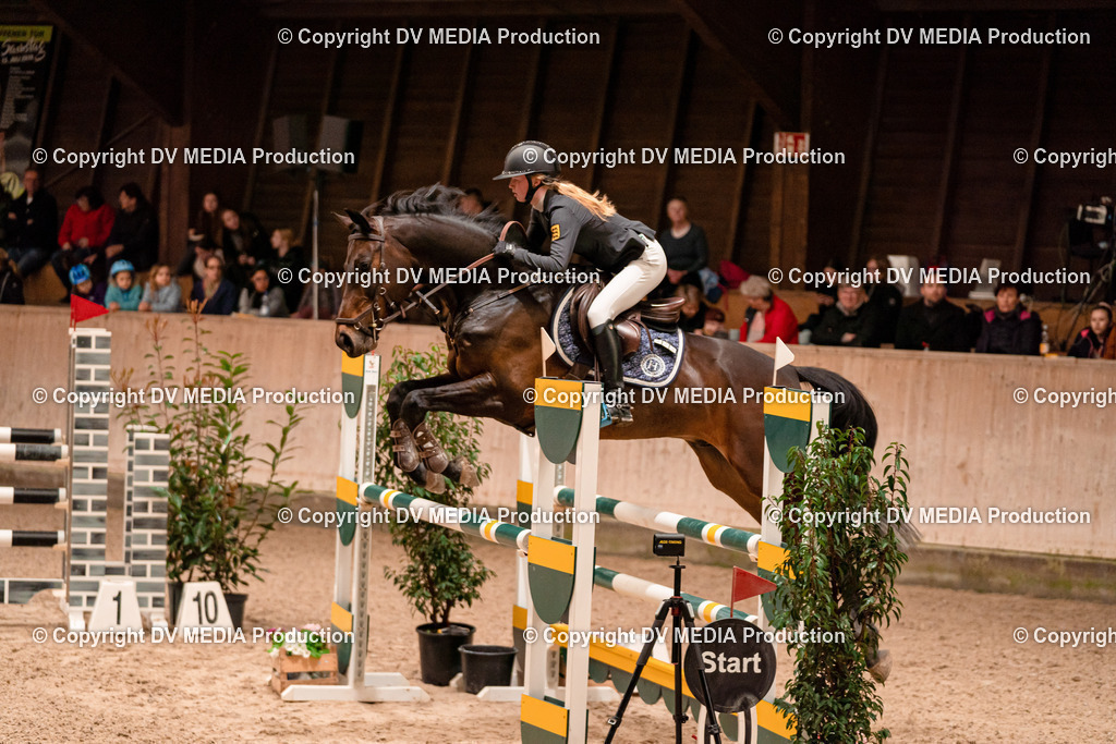 Springen Tag 2-708 | dv-media-shop - Realisiert mit Pictrs.com