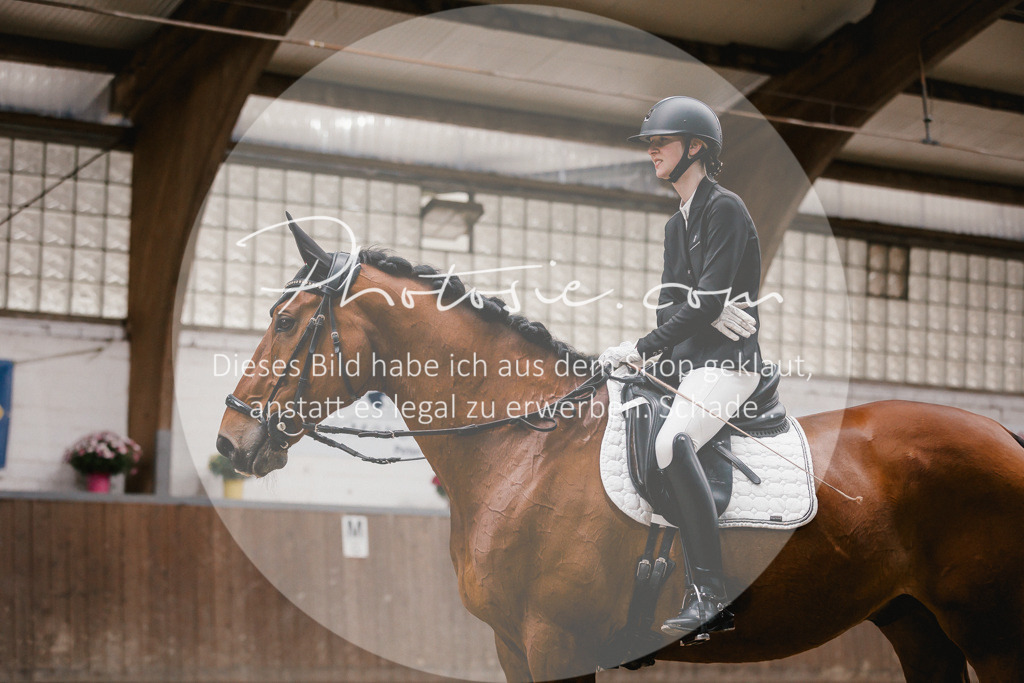 3I6A6774 | Stimmungsvolle Portraits und Reitsportfotografie im Ruhrgebiet und im Münsterland.

Pferdefotografie, Hundefotografie, Tierfotografie, Reportagen, Portraits von Tier und Mensch, Turnierfotografie in Bochum, Recklinghausen, Marl, Haltern am See, Dülmen.. - Realisiert mit Pictrs.com