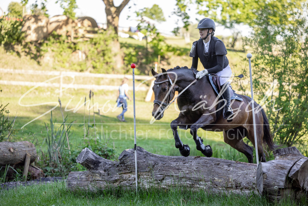 20260523-_3LI6076 | Tierfotografie Pferde, Hunde, Katzen, Haustiere.
Turnierfotografie Reitturniere, Reiten, Springreiten, Dressur in Hanau, dem Main-Kinzig-Kreis und dem Rhein-Main- Gebiet um Frankfurt