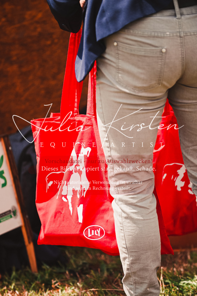 DSC_6396 | Pferde- und Turnierfotografie in Westsachsen. Pferdeportraits, Auftragszeichnungen und intuitive Kunst.