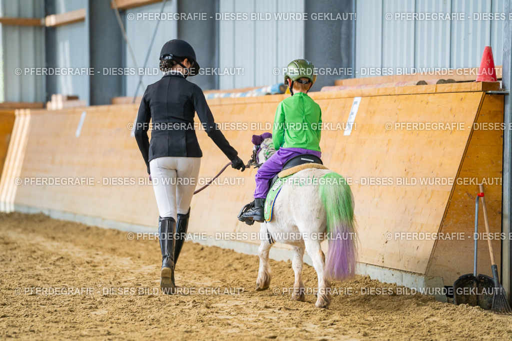 DSC00139 | Pferdegrafie