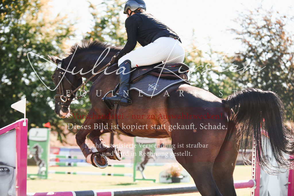 DSC_2350 | Pferde- und Turnierfotografie in Westsachsen. Pferdeportraits, Auftragszeichnungen und intuitive Kunst.