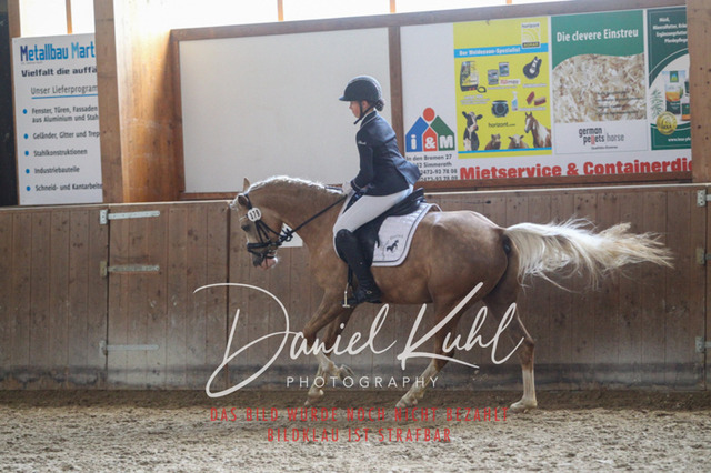 DKP45357 | Turniersportfotografie; Pferdefotografie; Dressurfotografie