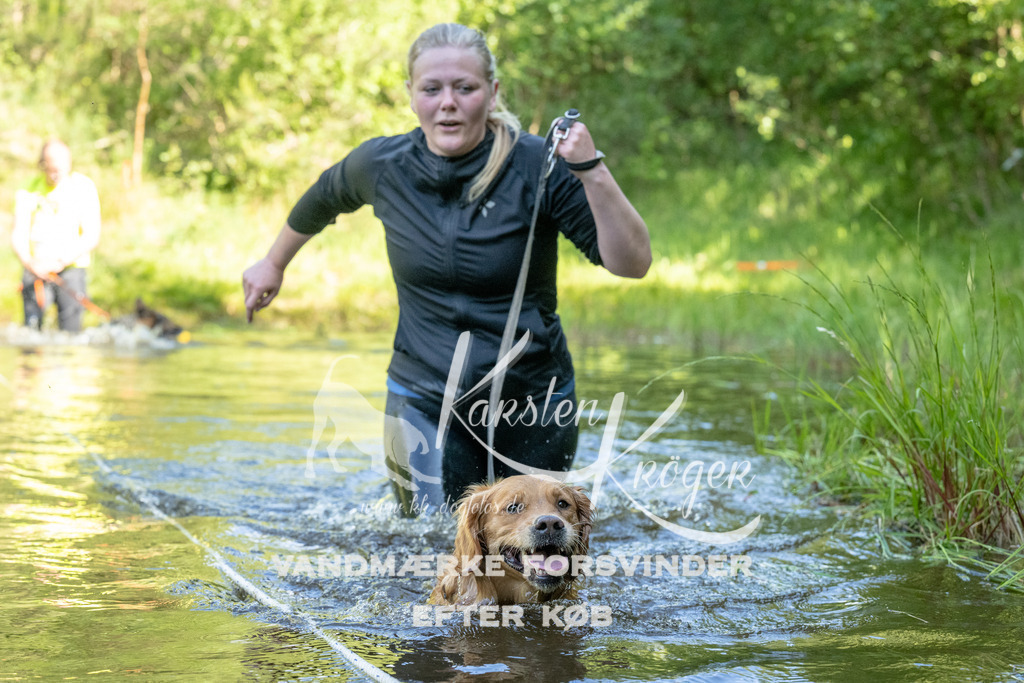 0919DKK9_ZZ91417 | kk-dogfotos