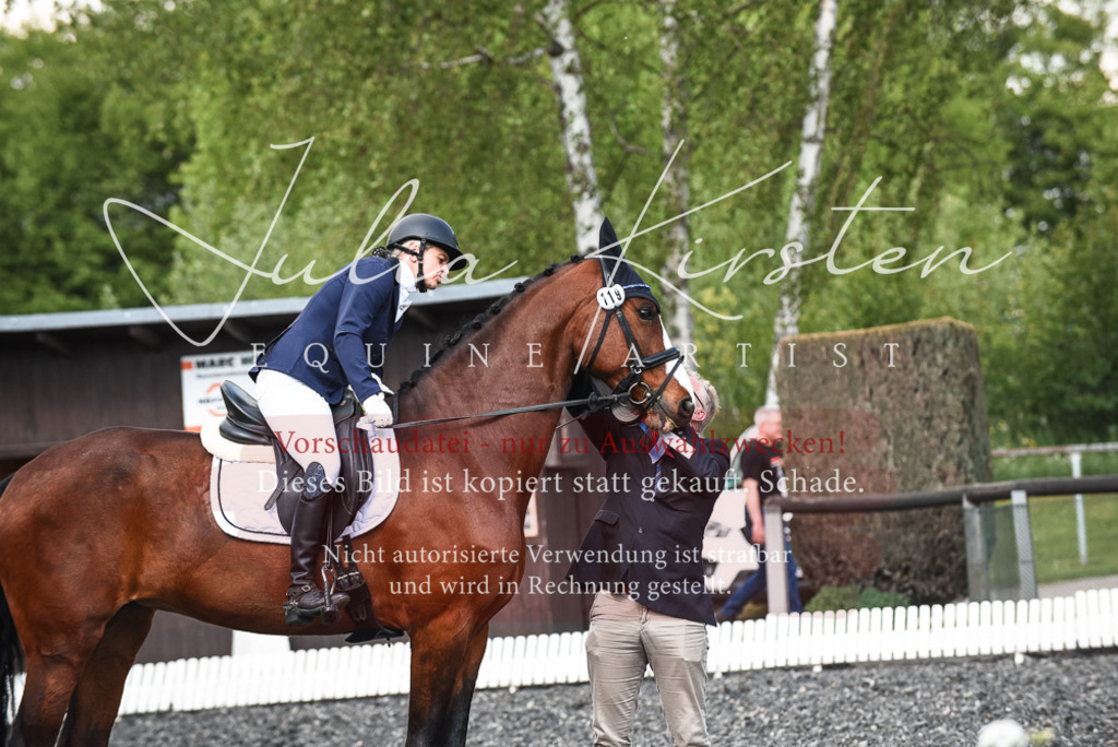 DSC_9074 | Pferde- und Turnierfotografie in Westsachsen. Pferdeportraits, Auftragszeichnungen und intuitive Kunst.