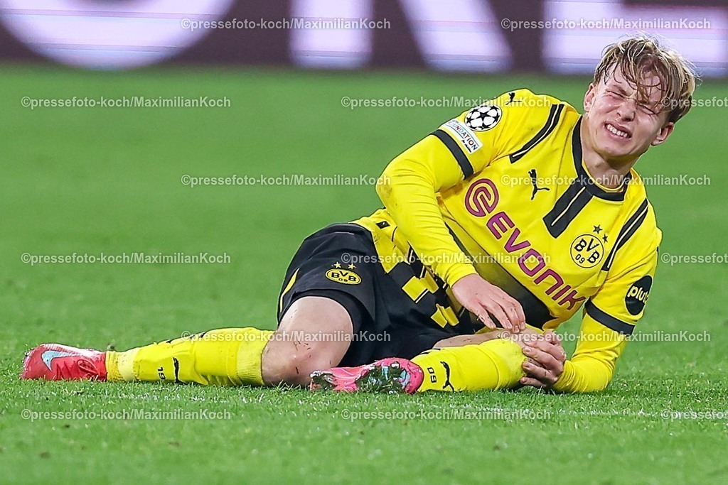 UCL04032502220 | 04.03.2025, Fußball, UEFA Champions League, Borussia Dortmund - OSC Lille, Signal Iduna Park, Runde der 16, Saison 2024 2025: Daniel Svensson (BVB #24) liegt Verletzt mit Schmerzen am Knie auf dem Spielfeld Knieverletzung Verletzung Ausfall 
