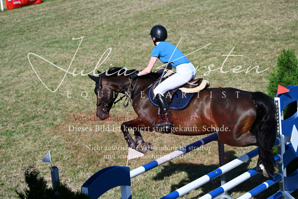 DSC_2366 | Pferde- und Turnierfotografie in Westsachsen. Pferdeportraits, Auftragszeichnungen und intuitive Kunst.