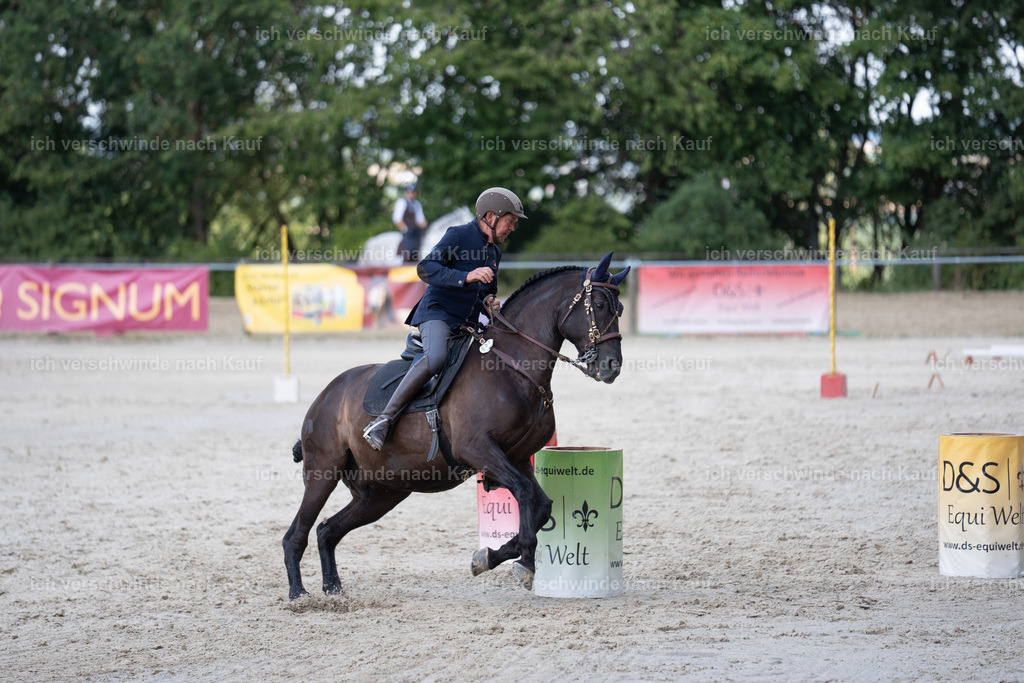 WS_SP_37_SinaFilmArt_IN08501 | working equitationturnier fotograf videograf stoibphotography marixx film working equitation deutschland reitsport turnierfotografie eventfotografie equestrian events