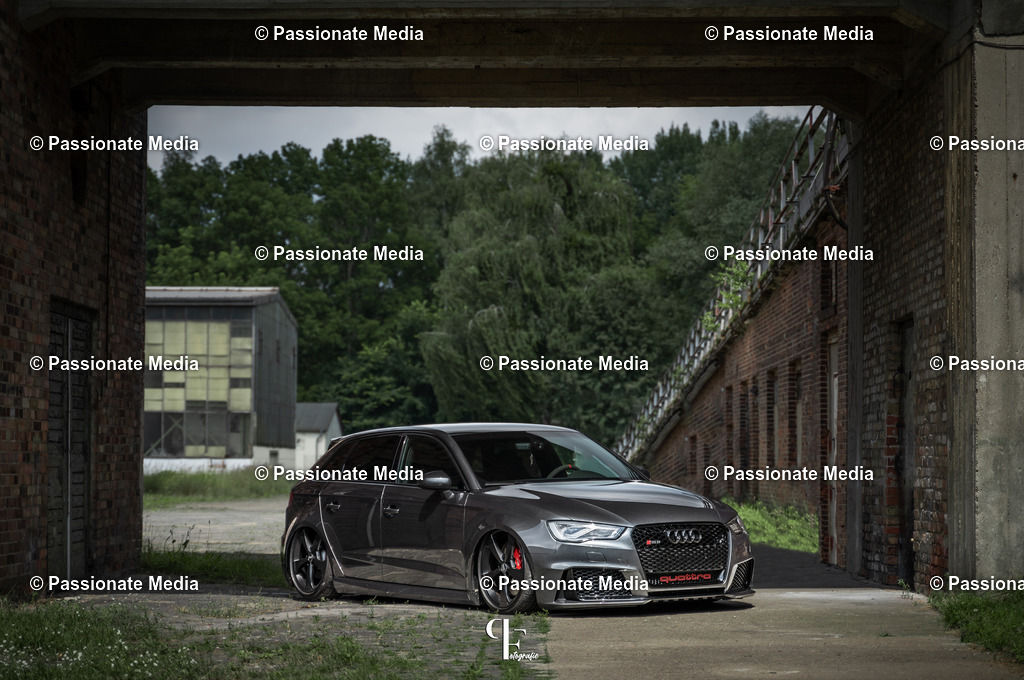 _DSC4208 | Passionate Media, dein Fotograf aus Brandenburg, Märkisch Oderland, im Bereich Motorsport, Autos und Motorräder sowie Events und auch Hunde. Shootings oder auch Eventbegleitungen können bei mir gebucht we