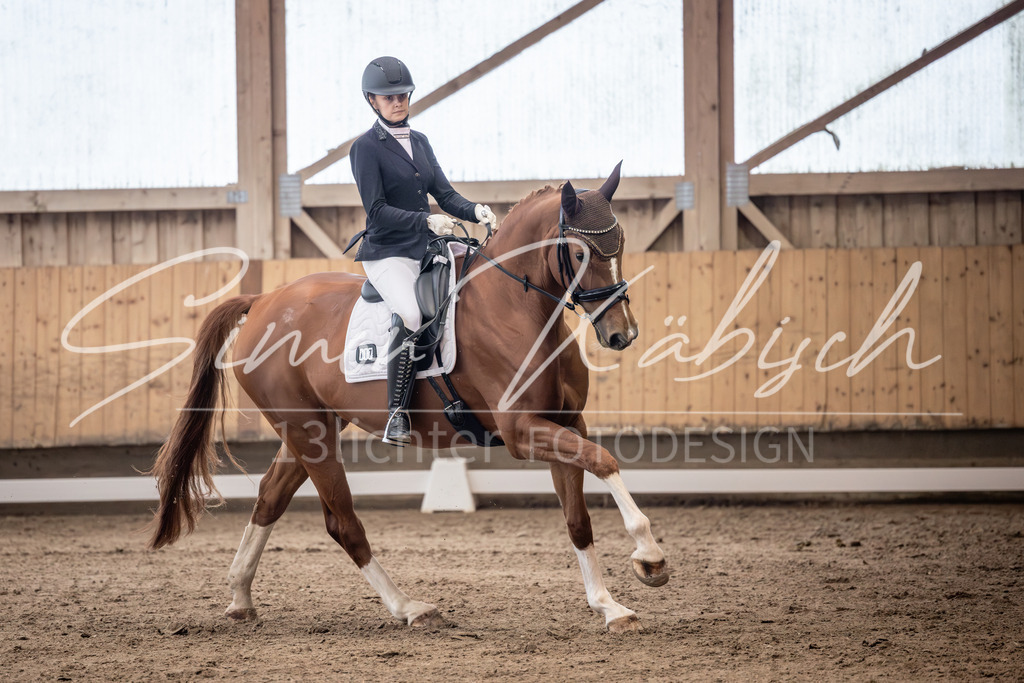 20251011-_3LI0070 | Tierfotografie Pferde, Hunde, Katzen, Haustiere.
Turnierfotografie Reitturniere, Reiten, Springreiten, Dressur in Hanau, dem Main-Kinzig-Kreis und dem Rhein-Main- Gebiet um Frankfurt