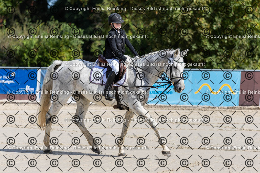 CL5A1820 | Emilia Reinking Fotografie - Realisiert mit Pictrs.com